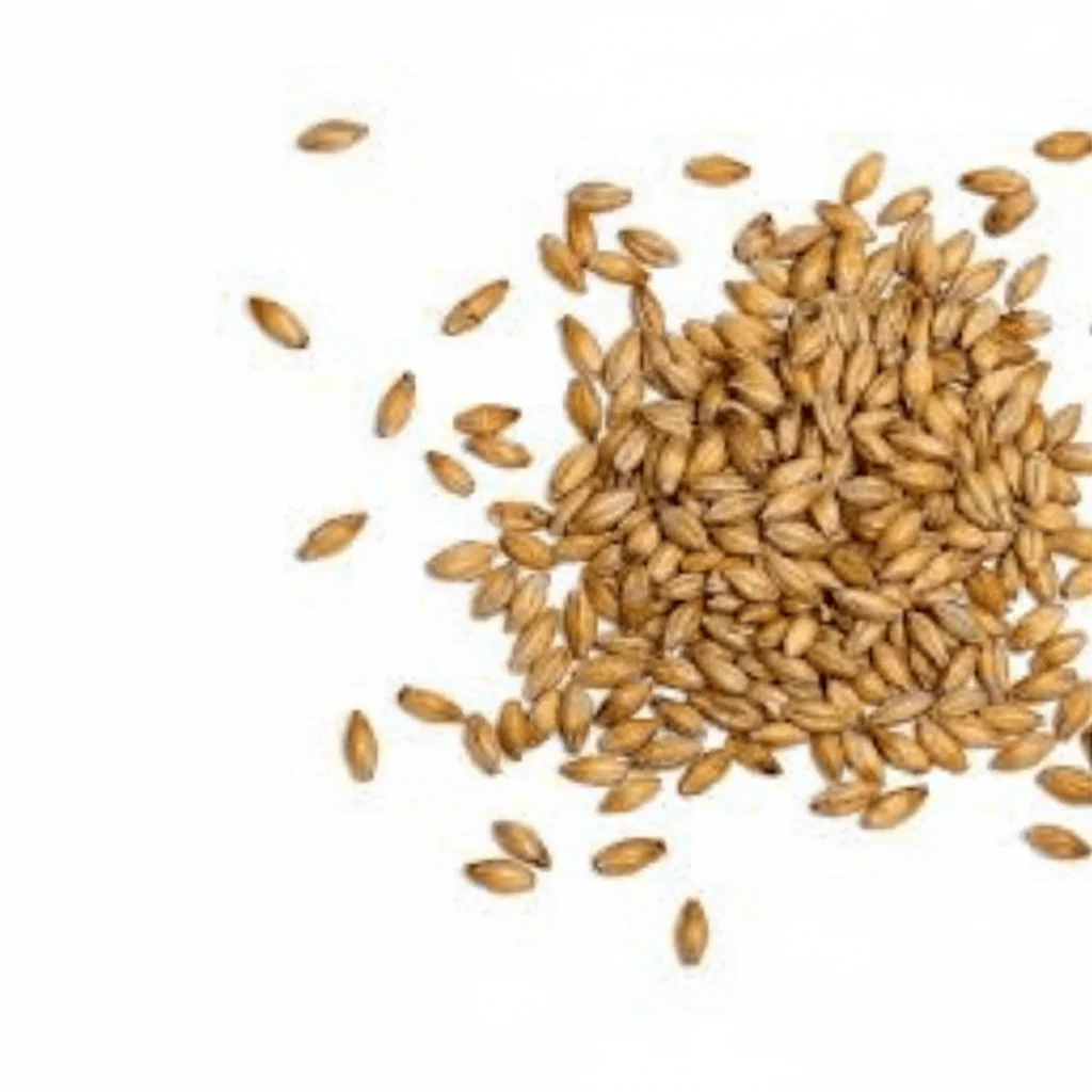 Amber Malt - Cracked Grains done