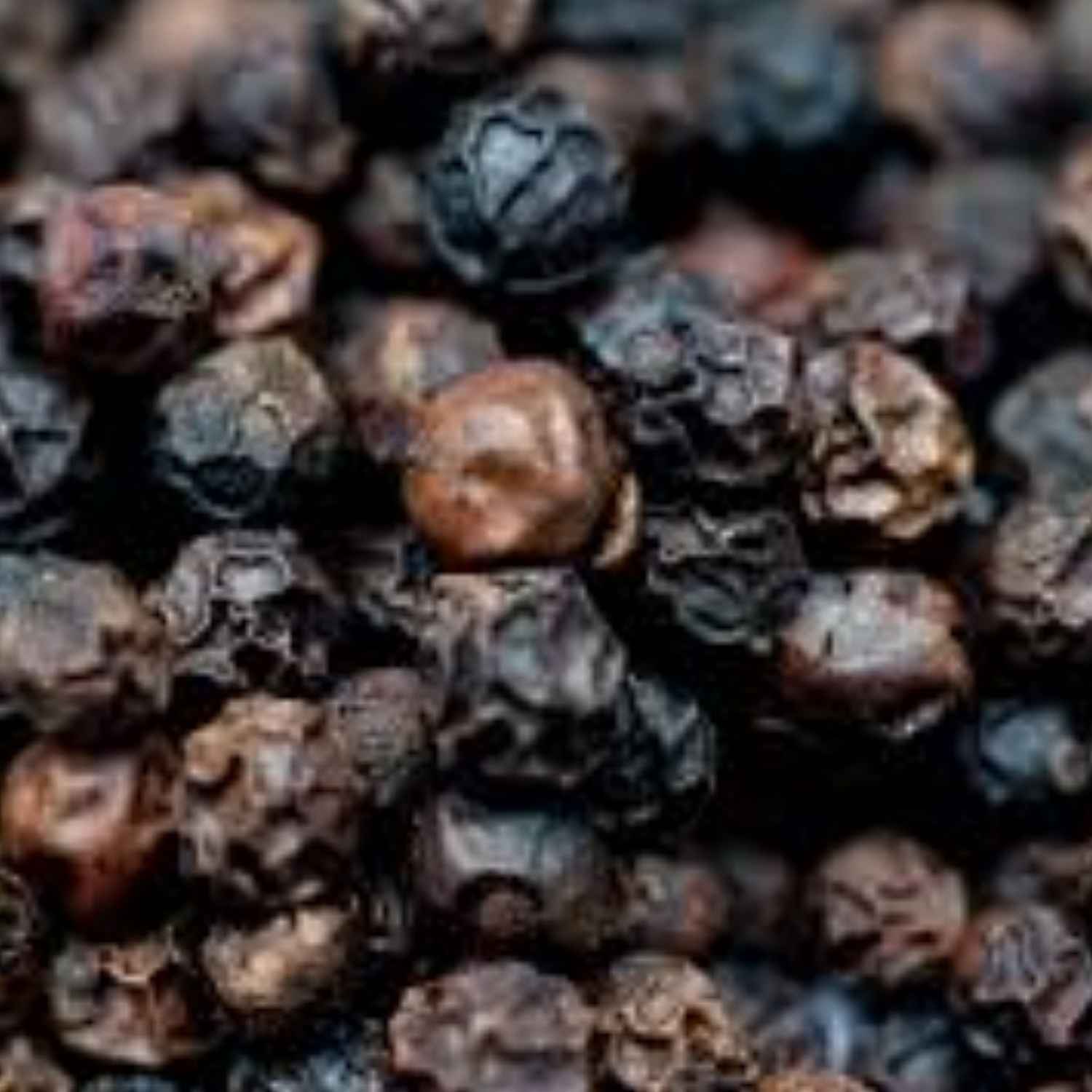 Black Peppercorn - Image 2