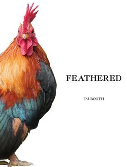 Book - Feathered By P.J. Booth