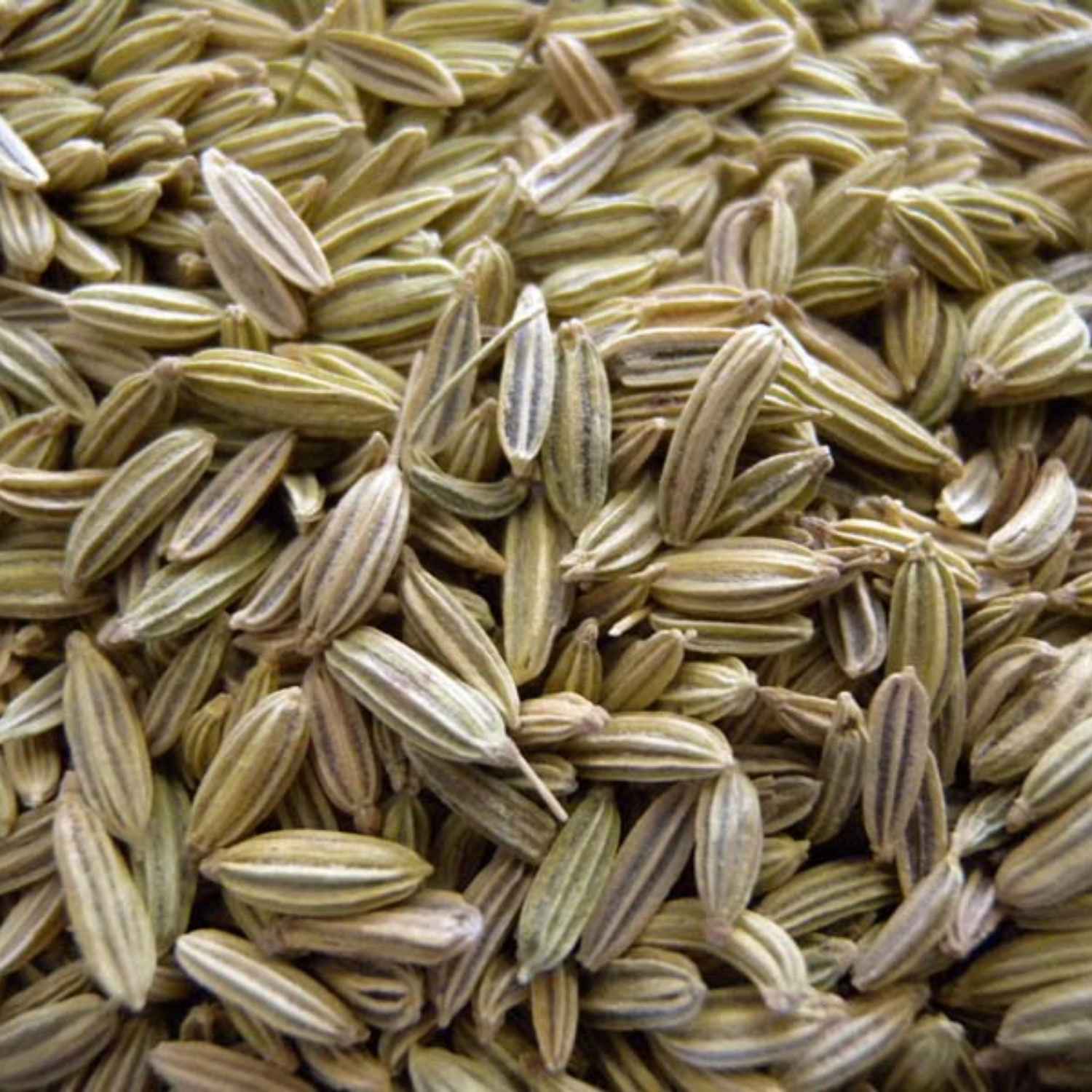 Fennel Seeds - Image 2