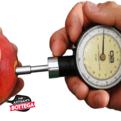 Penetrometer Mod 327 For test apple skin ripeness 1-13 kg pressure - Image 3