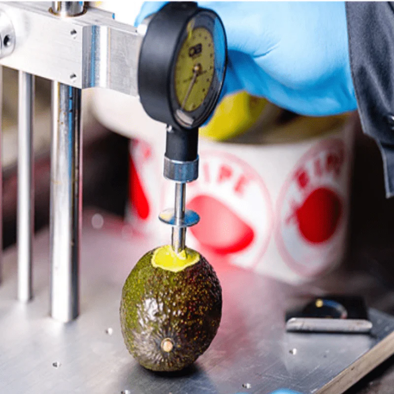 Penetrometer Mod 327 For test apple skin ripeness 1-13 kg pressure - Image 4