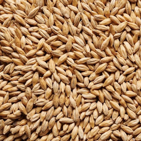 Pilsner Signature Malt 25 kg Uncracked by Joe White