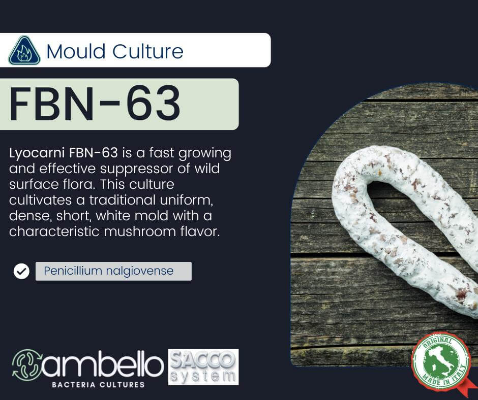 Sacco Salami White Mould Culture 100 kg - Penicillium Nalgiovense